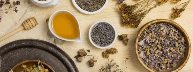 The rich history of herbal medicine and its modern-day impact on pharmacy